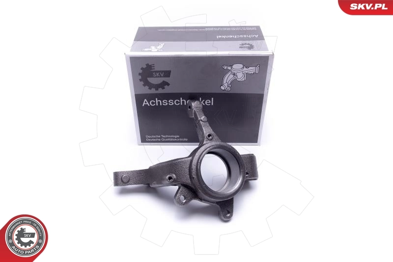 Steering Knuckle, wheel suspension